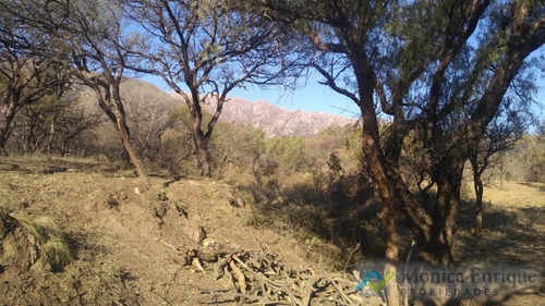 Oportunidada Nuevo Precio Lote En Villa Elena De 7647m2 Ideal Cabañeros Cortaderas San Luis