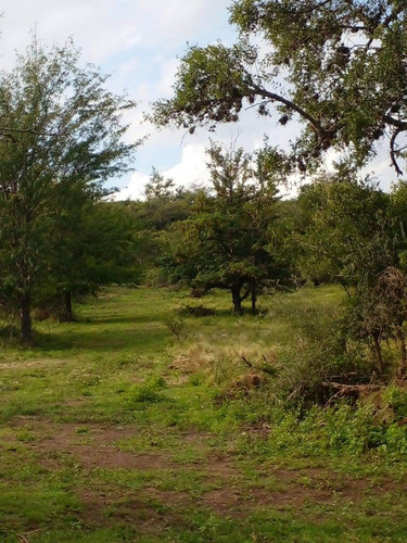Imagen 2 de 4 de Lotes En Barrio Cerrado De Campo Tagliata