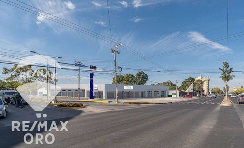 Local Comercial Renta