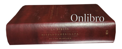 La Biblia Hispanoamericana Edición De Estudio Bh Bordo