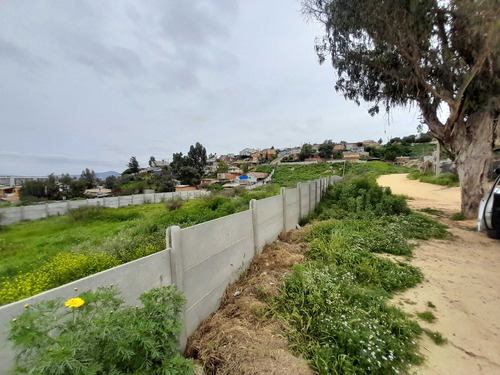 Terreno Con 11 Lotes Con Roles Propios (100748)
