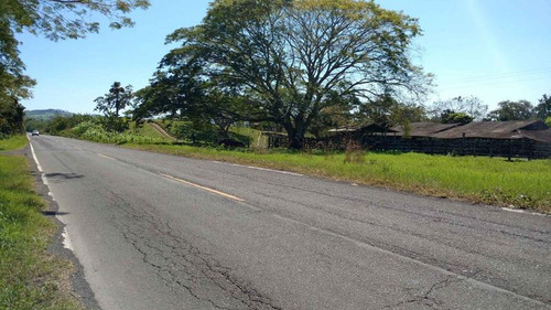 Vendo Rancho Ganadero 223 Hectáreas Temapache Veracruz