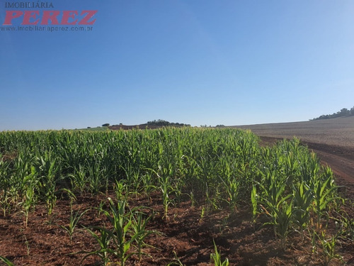 Imagem 16 de 24 de Chácaras_sítios_fazendas Para Venda - 13650.8047