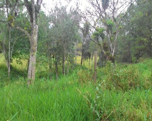 Imagem 9 de 30 de Fazenda - 0195 - 32820324