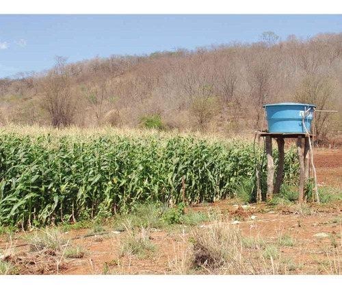 Kit Irrigação Familiar Por Gotejamento Kifnet 500 M² Netafim