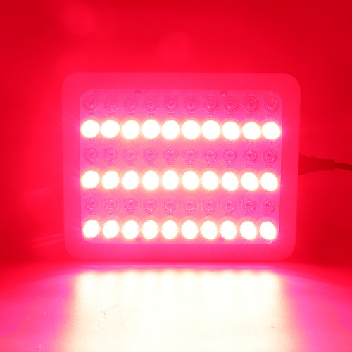 Mini Pele Profissional De Terapia Vermelha Led Infravermelha
