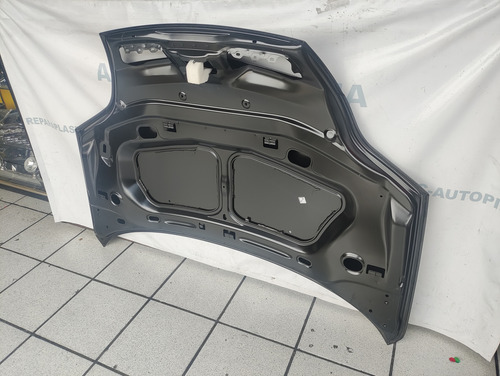 Cofre Renault Scenic 2001 A 2004 Original Nuevo Impecable