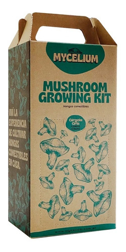 Kit De Autocultivo De Hongos Girgola Gris Mycelium