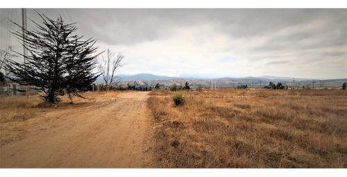 Sitio Plano, Agrícola, De 5.000 M2., En Tabolango, Limache.