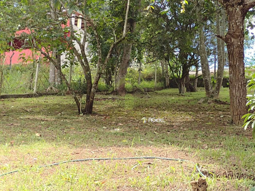Imagem 20 de 24 de Chácara Com 3 Dorms, Vale Tranquilo, Embu-guaçu - R$ 190 Mil, Cod: 2047 - V2047