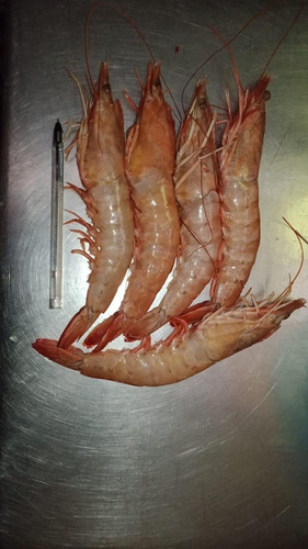 Imagen 7 de 10 de Pescado Marisco Y Cortes
