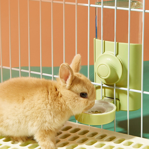 Dispensador De Agua Para Conejos, Con Capacidad Para Sifón,
