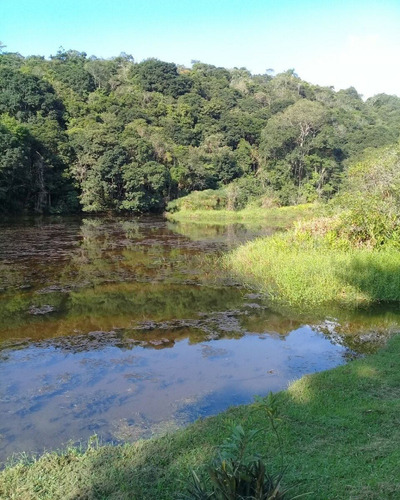 Imagem 15 de 30 de Sítio Cinematográfico À Venda Em Juquitiba; - 06 - 32982843