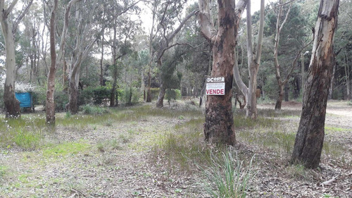 Lote En El Pinar (la Lucila Del Mar)