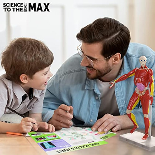 Juego De Mesa Ciencia Al Máximo Be Amazing! Toys ;o