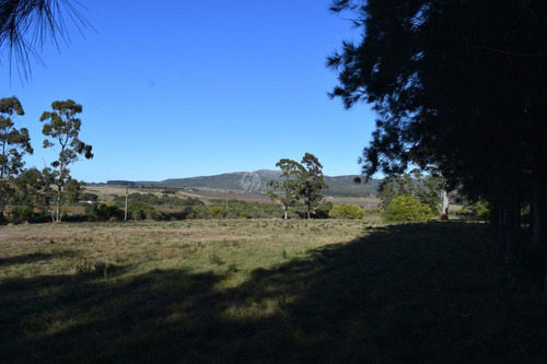 Venta Chacra Ruta 60 Maldonado Pan De Azucar Cerro Betete