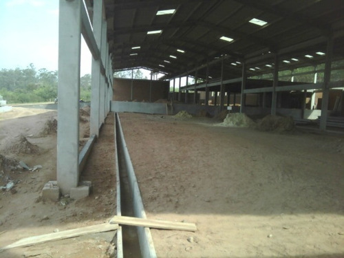 Imagem 6 de 6 de Terreno Industrial Para Venda Em Parobé, Rs, Junto A Rs239, Excelente Para Um Centro Logístico, Industrial, Centro De Distribuição, Transportadoras, - Ar3101 - 69427220