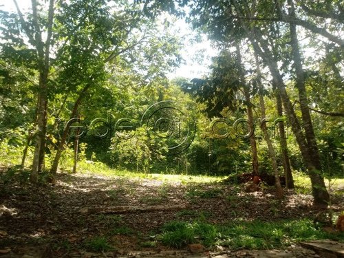 Imagem 18 de 22 de Chácara Com 27.000m2, Casa Rústica, 2 Córregos, 5 Km Da Cidade, Cercada - Pirenópolis - Go - Ch00002 - 68069363