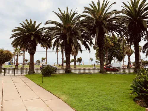 Arriendo Amoblado Frente Al Mar