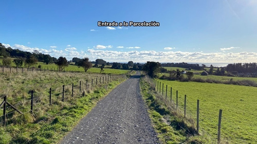 Parcelación Laurelia En Los Riscos Puerto Varas