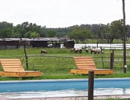 Fondo De Comercio Posada En Uribelarrea