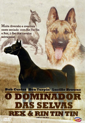 O Dominador Das Selvas - Rex & Rin Tin Tin - Dvd - Novo