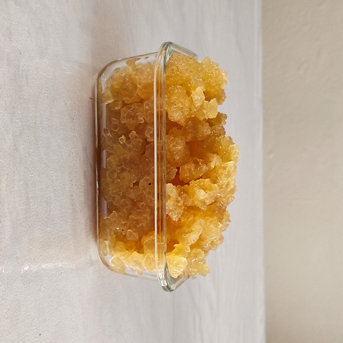 Imagen 2 de 5 de Tibicos De Agua (100gr +100gr Panela)
