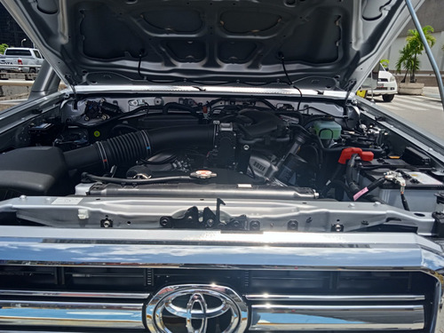 Imagen 11 de 13 de Toyota Hembrita