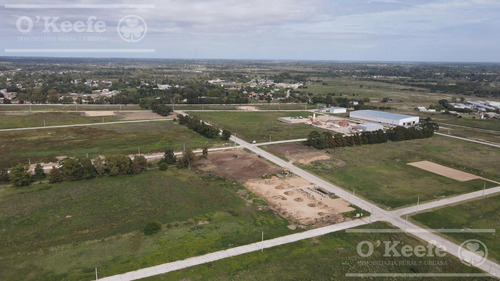 Lote De 4.778 M2 Parque Industrial Pitec 2 - Zona Sur