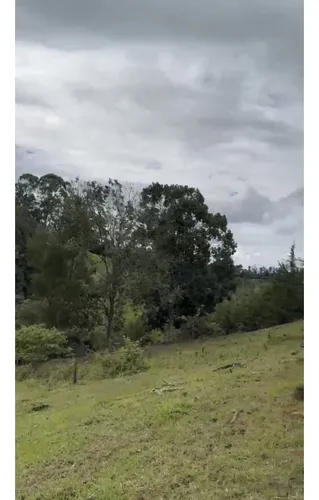 Lote Independiente Rionegro Vereda Ojo De Agua
