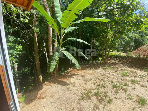 Imagem 17 de 19 de Chácara À Venda Em Canelinha/sc - 2170c