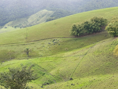 Imagem 11 de 15 de Fazenda Para Venda Em União Dos Palmares, Zona Rural - In - 0010_1-2015625