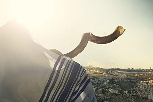 Imagen 4 de 4 de Judaica Mega Mall Shofar 32 Jud-0814