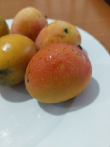 Semillas De Mango Durazno