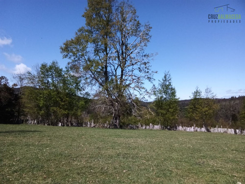 Agrícola En Venta En Mafil Region De Los Rios