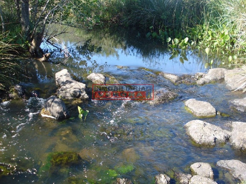Imagen 3 de 17 de Campo 96 Has En Carape Cuenta Con Costa De Arroyo.