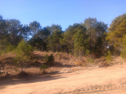 Imagen 5 de 8 de Lote Interno En Bo. Privado Villa Robles