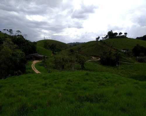 Fazenda - 0260 - 32820388