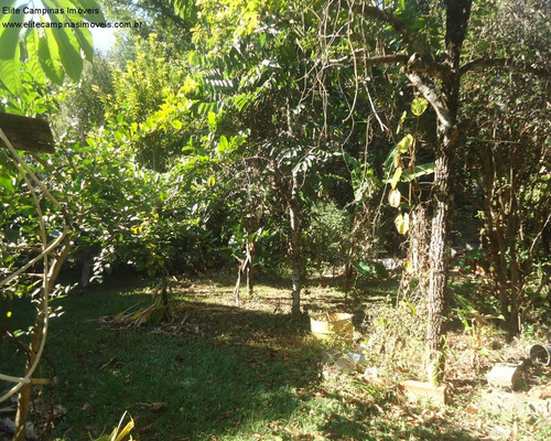 Imagem 4 de 30 de Chacara - Ch00090 - 67876585