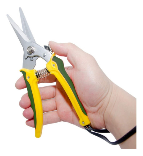 R 2d Especialistas Resistentes Foot Rot Shears Sheep Horse