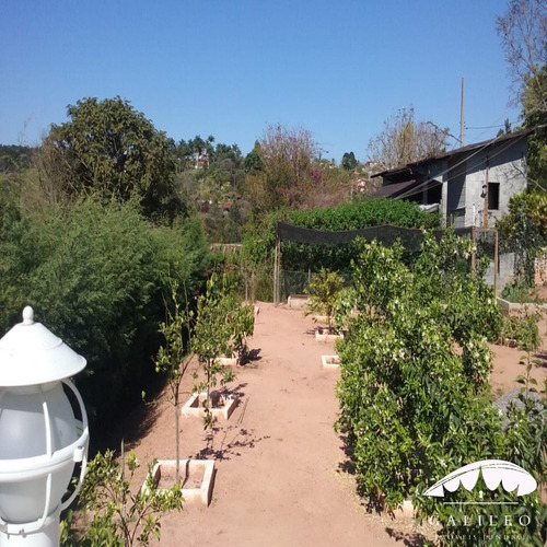 Imagem 20 de 21 de Venda | Excelente Chácara Em Jarinú - Com 430m², 3 Dormitórios Sendo 1 Suíte, 1 Banheiro Social E Área De Churrasqueira Com Piscina. - Ch00082 - 69342703
