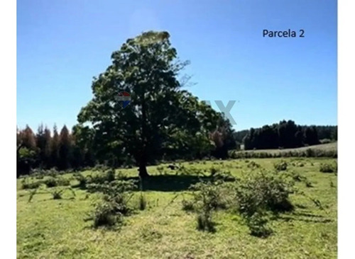Terrenos 5.000 M² Cerca De Corralco, Curacautín.
