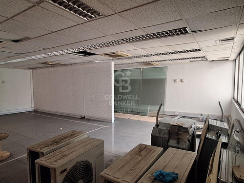 Amplia Oficina En Segundo Piso Con Excelente Iluminación