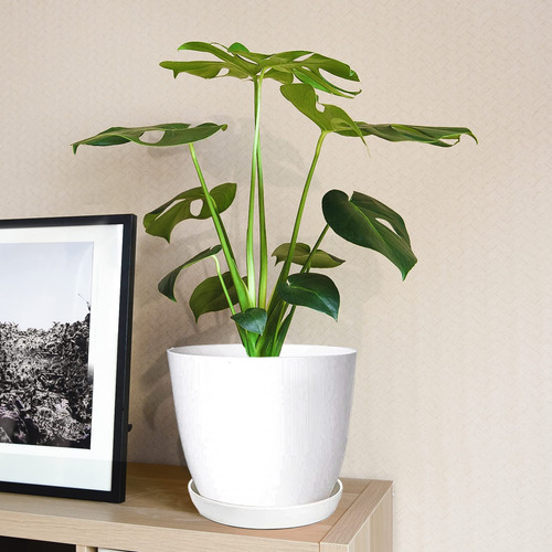 Swinduck Macetas Para Plantas, Paquete De 12 Macetas Modern.