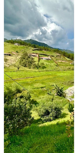 Finca En Vender En San Vicente