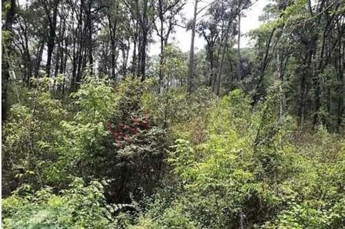 Imagen 8 de 8 de Terreno En Venta En Camino A San Simón Con Un Rio
