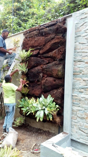 Imagen 3 de 5 de Jardin Vertical, Pared O Espejo De Agua / Manantial