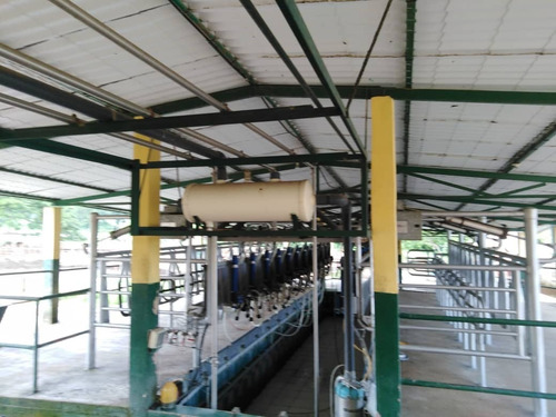 Imagen 7 de 29 de Finca Ganadera Y Agricola En Venta En Bejuma, Edo Carabobo 04121994409