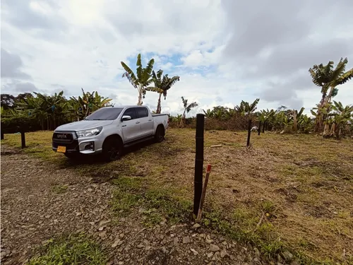 Se Venden Lotes En Quimbaya - Quindío