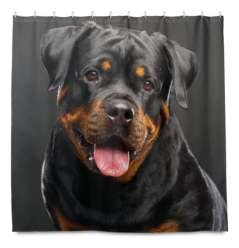 Hokkien Rottweiler - Cortina De Ducha Para Decoracin Del Hog